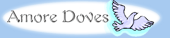 Main Logo
